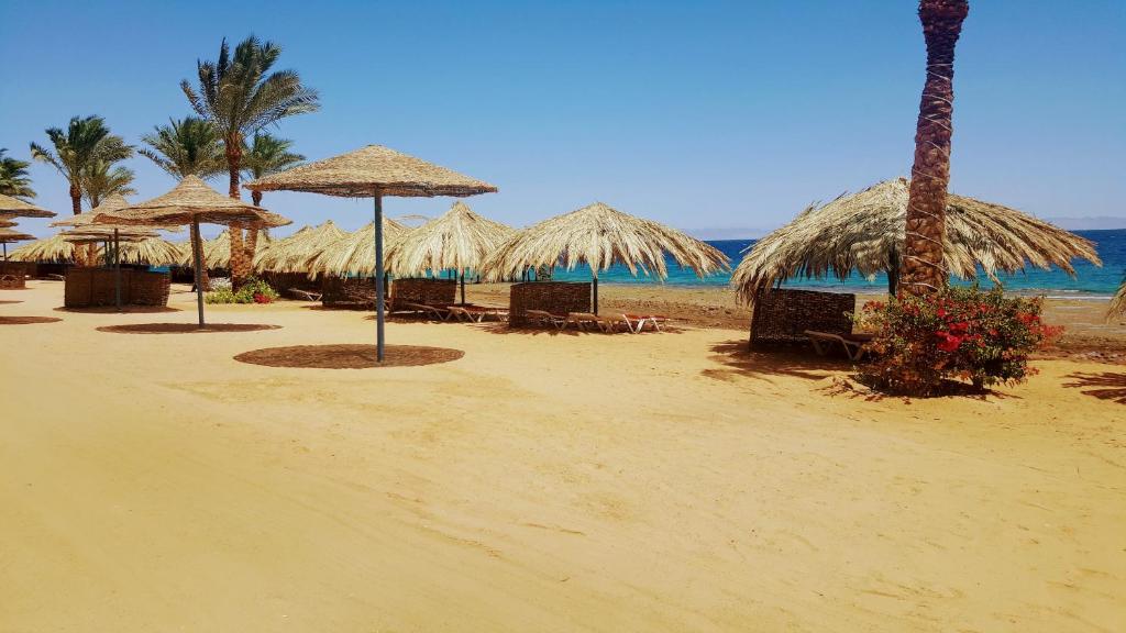 ECOTEL DAHAB BAY VIEW RESORT